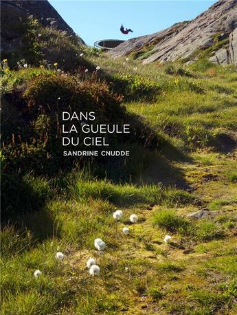 Couverture du livre « Dans la gueule du ciel » de Sandrine Cnudde aux éditions Light Motiv