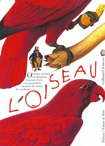 Couverture du livre « L'oiseau vivant ou reve, peint ou sculpte, observe et identifie, a aimer et a proteger » de Fustec/Lesaffre aux éditions Gallimard-jeunesse