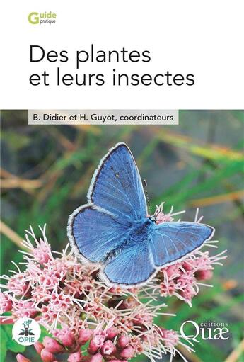 Couverture du livre « Des plantes et leurs insectes » de Bruno Didier et Herve Guyot et Collectif aux éditions Quae