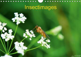 Couverture du livre « Insectimages calendrier mural 2018 din a4 horizontal - photographies d insectes calen » de Marcu L aux éditions Calvendo