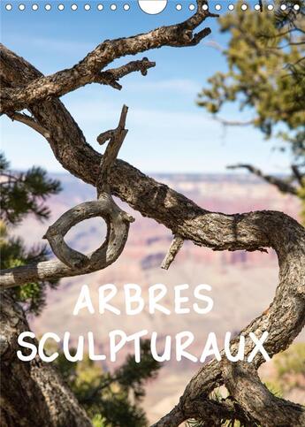 Couverture du livre « Arbres sculpturaux calendrier mural 2020 din a4 vertical - l arbre comme sculpture dans d » de Le Goffic Law aux éditions Calvendo