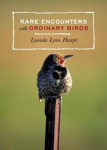 Couverture du livre « Rare Encounters with Ordinary Birds » de Haupt Lyanda Lynn aux éditions Sasquatch Books Digital