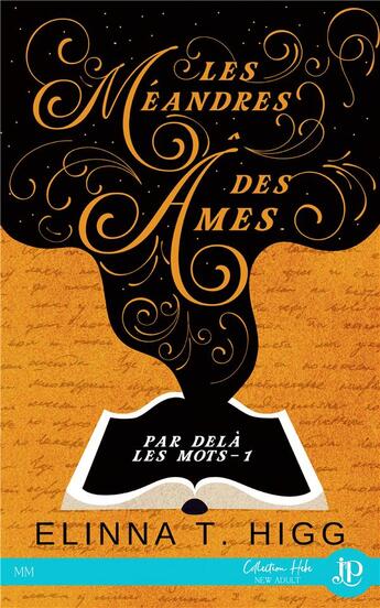 Couverture du livre « Par dela les mots t.1 : les méandres des âmes » de Higg Elinna T. aux éditions Juno Publishing