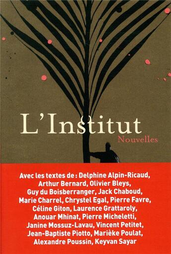 Couverture du livre « L'institut ; amour, ski et politique » de Alpin-Ricaud Delp. aux éditions Pu De Grenoble