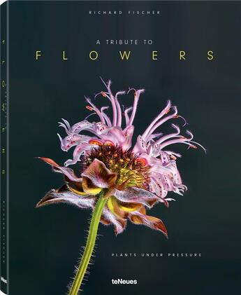 Couverture du livre « A tribute to flowers / plants under pressure » de Fischer Richard aux éditions Teneues - Livre