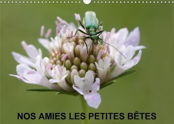 Couverture du livre « Nos amies les petites bêtes (Calendrier mural 2020 DIN A3 horizontal) ; Nos amies qui vivent dans l'herbe haute (Calendrier mensuel, 14 Pages ) » de Martine Julien aux éditions Calvendo