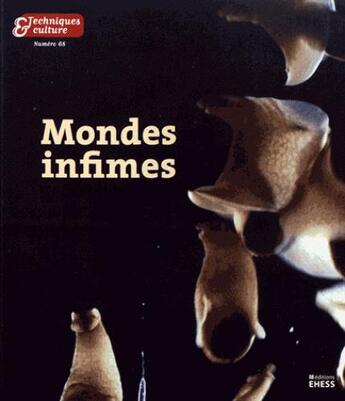 Couverture du livre « Techniques & culture 68 » de  aux éditions Ehess