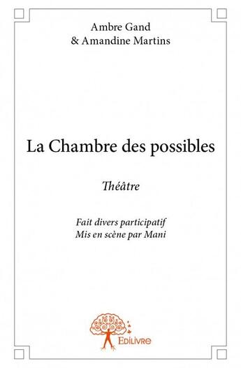 Couverture du livre « La chambre des possibles » de Ambre Gand et Amandine Martins aux éditions Edilivre