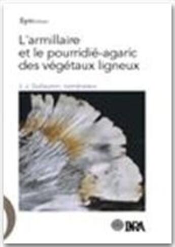 Couverture du livre « L'armillaire et le pourridie-agaric des vegetaux ligneux » de J.J. Guillaumin aux éditions Quae