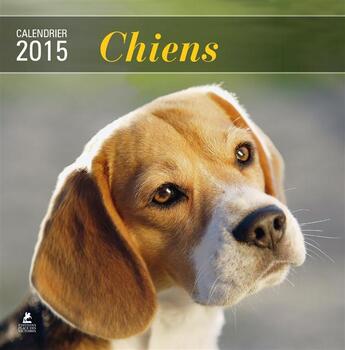 Couverture du livre « Calendrier chiens 2015 » de  aux éditions Place Des Victoires