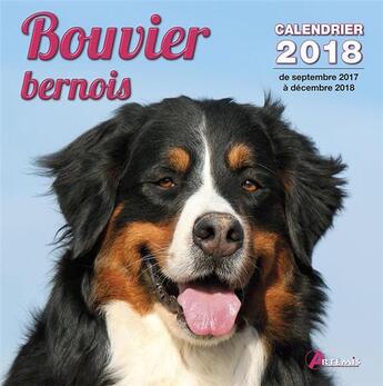 Couverture du livre « Bouvier bernois (édition 2018) » de  aux éditions Artemis