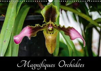 Couverture du livre « Magnifiques orchidees calendrier mural 2018 din a3 horizonta - belles photographies d orchide » de Woehlke J aux éditions Calvendo