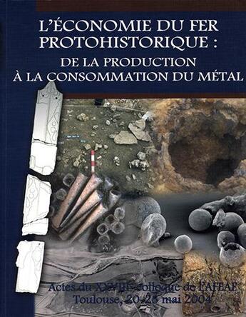 Couverture du livre « L'économie du fer protohistorique : de la production à la consommation du métal ; XXVIIIe colloque de l'Afeaf Toulouse, 20-23 mai 2004 » de Pierre-Yves Milcent aux éditions Aquitania