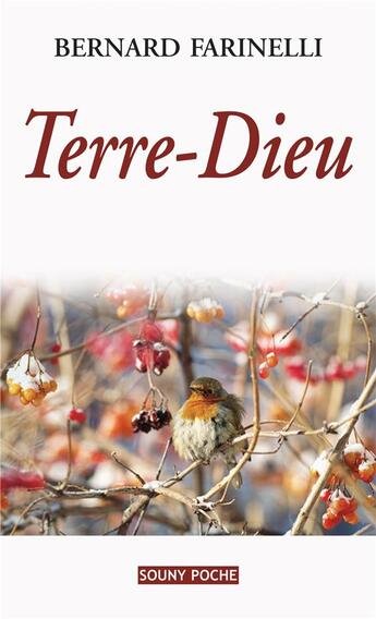 Couverture du livre « Terre-Dieu » de Bernard Farinelli aux éditions Lucien Souny