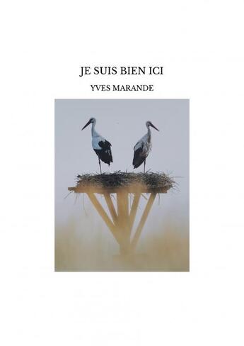 Couverture du livre « JE SUIS BIEN ICI » de Yves Marande aux éditions Thebookedition.com