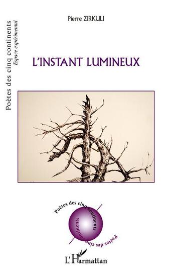 Couverture du livre « Instant lumineux » de Pierre Zirkuli aux éditions L'harmattan