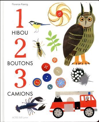 Couverture du livre « 1 hibou, 2 boutons, 3 camions ! » de Florence Koenig aux éditions Actes Sud Junior