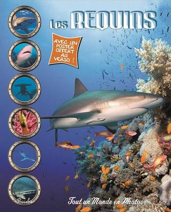 Couverture du livre « Tout un monde en photos ; les requins » de  aux éditions Piccolia