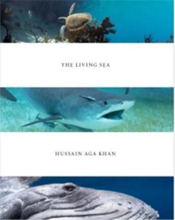 Couverture du livre « Hussain aga khan the living sea /anglais » de Hussain Aga Khan aux éditions La Fabrica