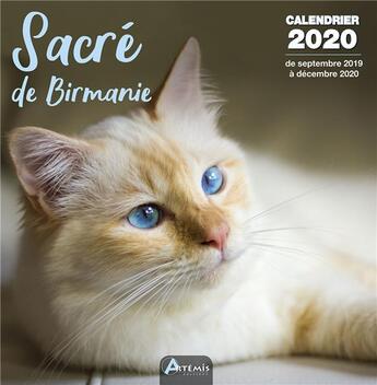 Couverture du livre « Calendrier sacre de birmanie (2020) » de  aux éditions Artemis