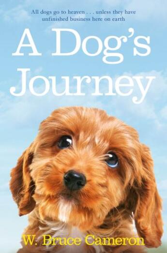 Couverture du livre « A Dog's Journey » de Cameron W Bruce aux éditions Pan Macmillan
