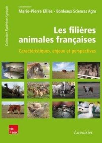 Couverture du livre « Les filières animales françaises ; caractéristiques, enjeux et perspectives » de Marie-Pierre Ellies aux éditions Tec Et Doc