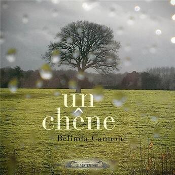 Couverture du livre « Un chene » de Belinda Cannone aux éditions Le Vistemboir