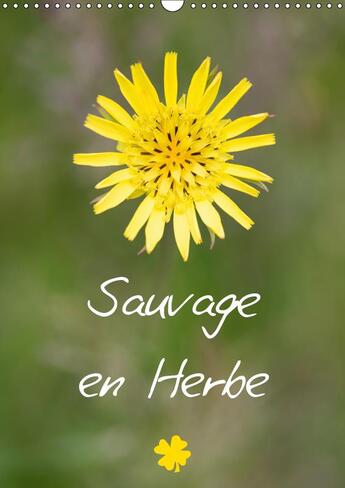 Couverture du livre « Sauvage en herbe pour une anne » de Makhloufi Djama aux éditions Calvendo