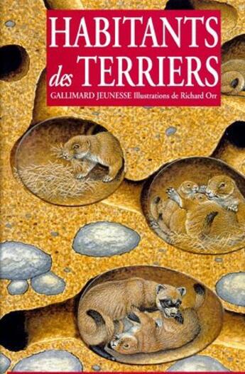 Couverture du livre « Habitants des terriers - la vie secrete des animaux sous terre » de Awan Shaila aux éditions Gallimard-jeunesse