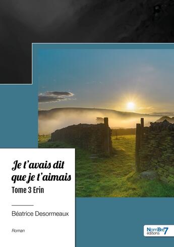 Couverture du livre « Je t'avais dit que je t'aimais Tome 3 : Erin » de Beatrice Desormeaux aux éditions Nombre 7