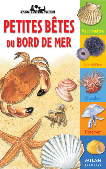 Couverture du livre « Petites betes du bord de mer » de  aux éditions Milan