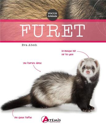 Couverture du livre « Furet » de  aux éditions Artemis