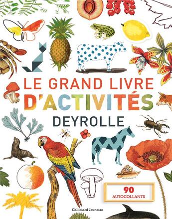 Couverture du livre « Le grand livre d'activites deyrolle » de  aux éditions Gallimard-jeunesse