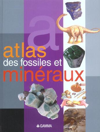Couverture du livre « Atlas des fossiles et minéraux » de John Tolan et E Infiesta aux éditions Circonflexe