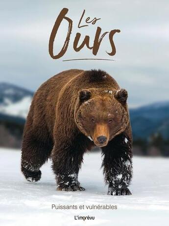 Couverture du livre « Les ours ; puissants et vulnérables » de Tom Jackson aux éditions L'imprevu