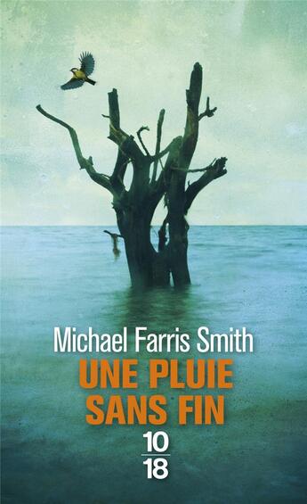 Couverture du livre « Une pluie sans fin » de Michael Farris Smith aux éditions 10/18