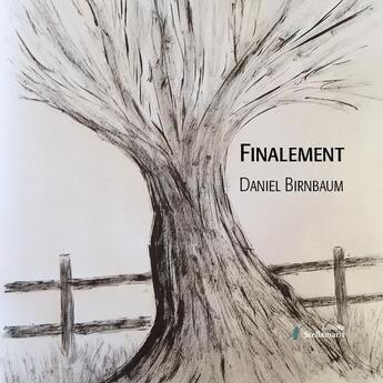 Couverture du livre « Finallement » de Daniel Birnbaum aux éditions Stellamaris