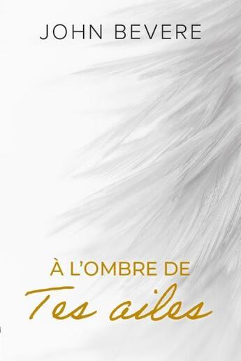 Couverture du livre « À l'ombre de tes ailes » de John Bevere aux éditions Vida