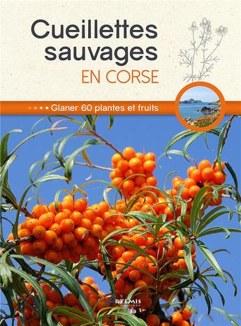 Couverture du livre « Cueillettes sauvages en Corse » de  aux éditions Artemis