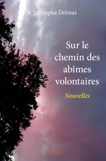 Couverture du livre « Sur le chemin des abimes volontaires » de Delmas Christophe aux éditions Edilivre