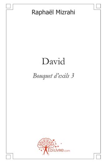 Couverture du livre « David » de Raphael Mizrahi aux éditions Edilivre