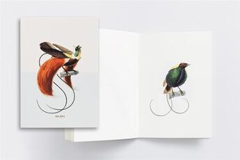 Couverture du livre « Oiseaux de paradis ; carnet à thème » de Reliefs aux éditions Reliefs Editions