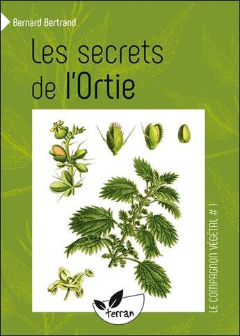 Couverture du livre « Les secrets de l'ortie » de Bernard Bertrand aux éditions De Terran