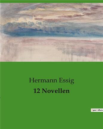 Couverture du livre « 12 Novellen » de Essig Hermann aux éditions Culturea