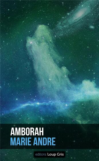 Couverture du livre « Amborah (2e édition) » de Marie Andre aux éditions Loup Gris
