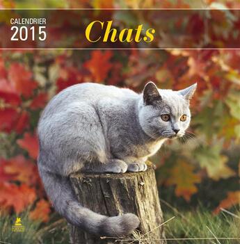 Couverture du livre « Calendrier chats 2015 » de  aux éditions Place Des Victoires