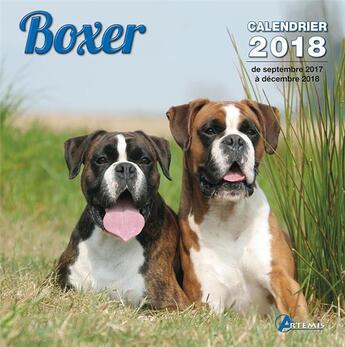 Couverture du livre « Boxer (édition 2018) » de  aux éditions Artemis