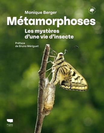 Couverture du livre « Métamorphoses : Les mystères d'une vie d'insecte » de Monique Berger aux éditions Delachaux & Niestle