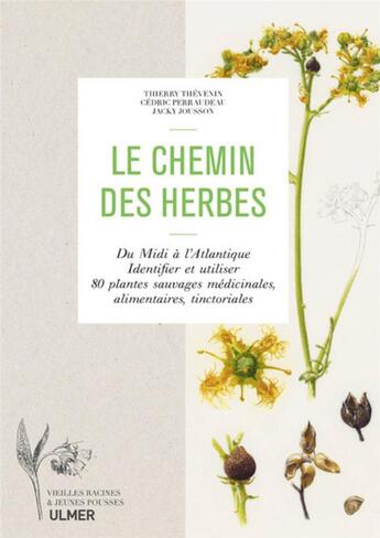 Couverture du livre « Le chemin des herbes ; du Midi à l'Atlantique, identifier et utiliser 80 plantes sauvages médicinales, alimentaires, tinctoriales » de Thierry Thevenin et Jacky Jousson et Cedric Perraudeau aux éditions Eugen Ulmer