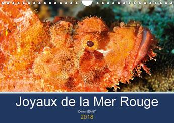 Couverture du livre « Joyaux de la mer rouge calendrier mural 2018 din a4 horizontal » de Jeant D aux éditions Calvendo